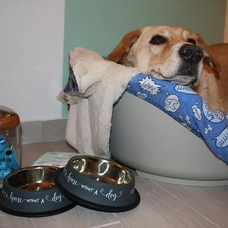 Apartment - Sweet Mayleen