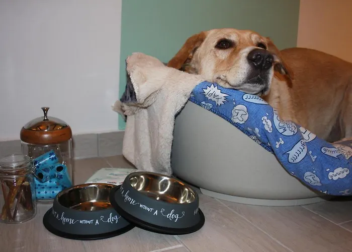 Appartement - Sweet Mayleen